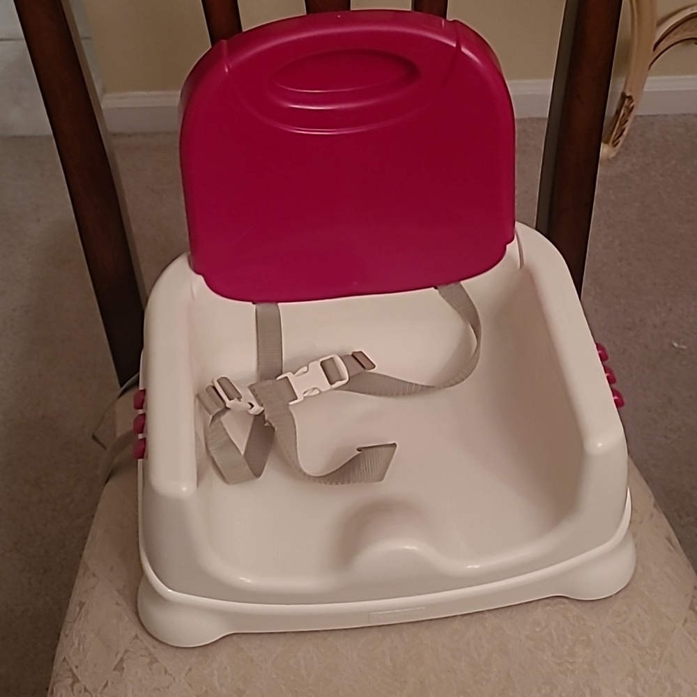 Fisher Price Portable Booster Seat